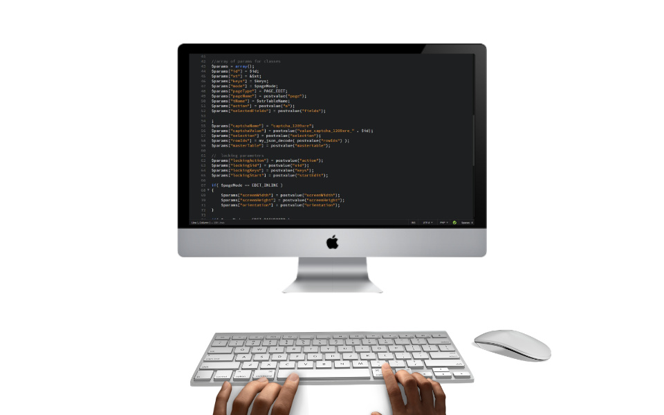 programmirung-frankfurt
